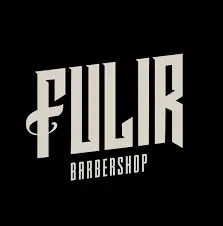 fulir logo